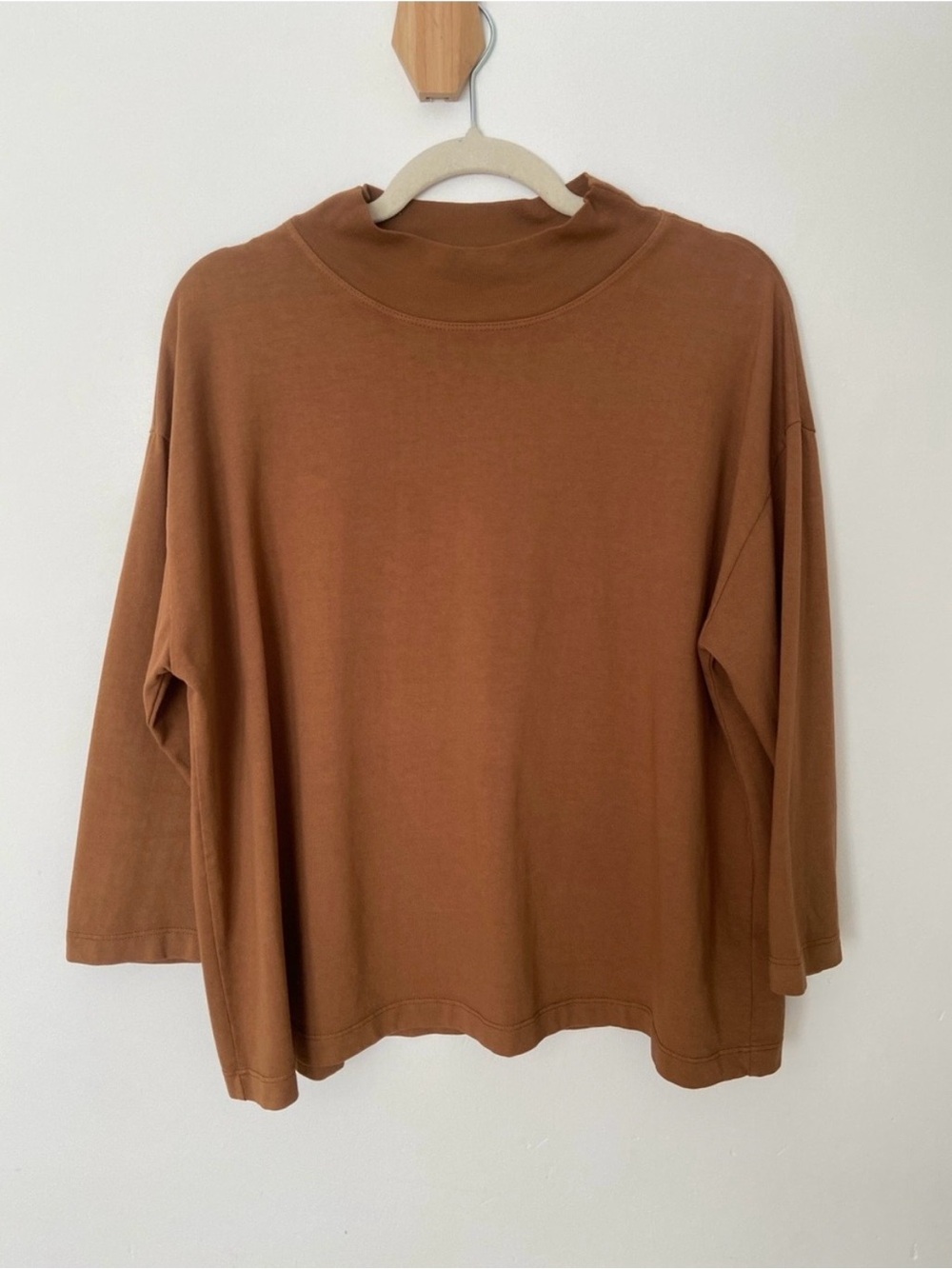 Velvet by Graham & Spencer Rust Mock Neck Long Sleeve Tee
